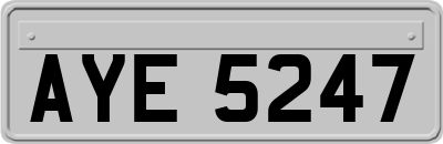 AYE5247