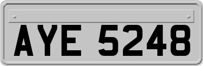 AYE5248