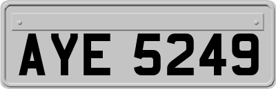 AYE5249