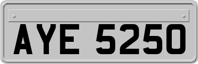 AYE5250