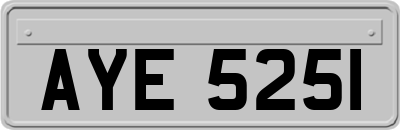 AYE5251