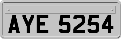 AYE5254