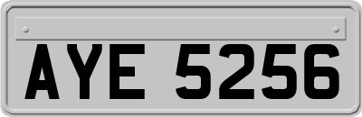 AYE5256