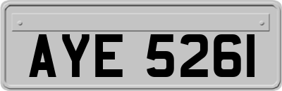 AYE5261