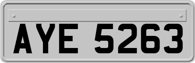 AYE5263