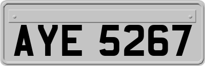 AYE5267