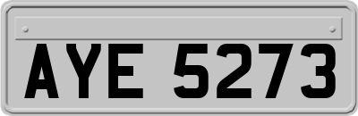 AYE5273