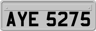 AYE5275