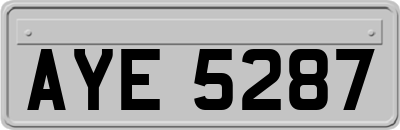 AYE5287