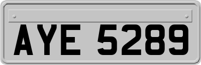 AYE5289