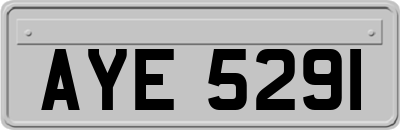 AYE5291