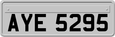 AYE5295