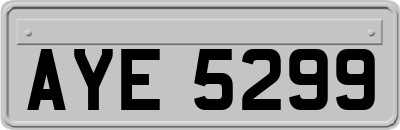 AYE5299