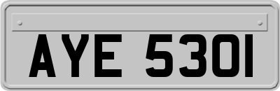 AYE5301