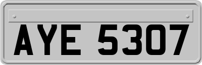 AYE5307