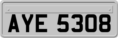 AYE5308