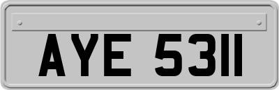 AYE5311