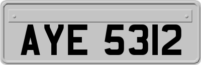 AYE5312