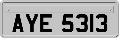 AYE5313