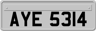 AYE5314