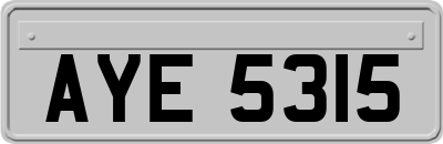 AYE5315
