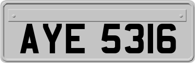 AYE5316
