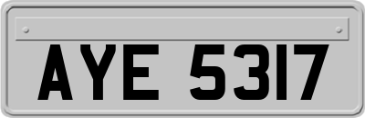 AYE5317
