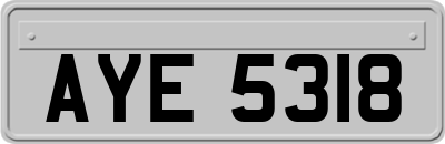 AYE5318