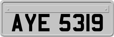 AYE5319