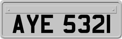 AYE5321