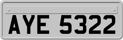 AYE5322