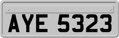 AYE5323