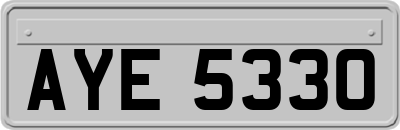 AYE5330