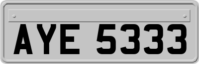 AYE5333