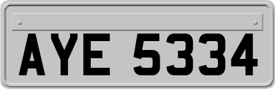 AYE5334