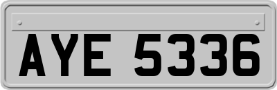 AYE5336