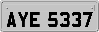 AYE5337