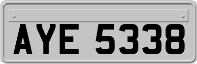 AYE5338