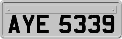 AYE5339