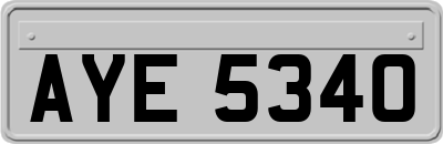 AYE5340