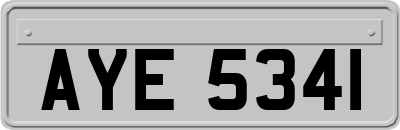 AYE5341