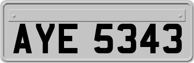 AYE5343
