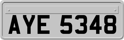 AYE5348