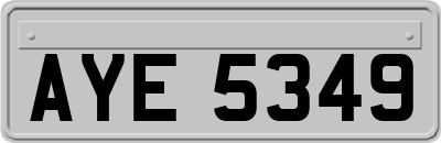 AYE5349