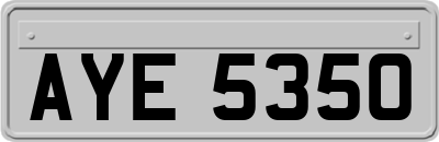 AYE5350