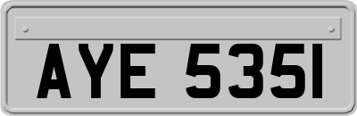 AYE5351