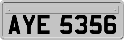 AYE5356
