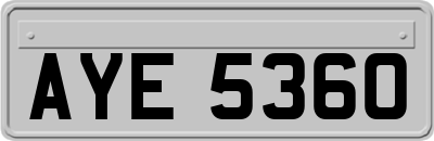 AYE5360