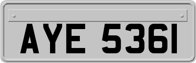 AYE5361
