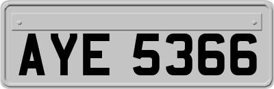 AYE5366